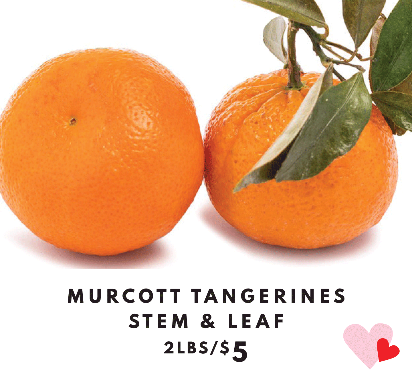Murcott Tangerines Stem and Leaf - 2 lbs for $5