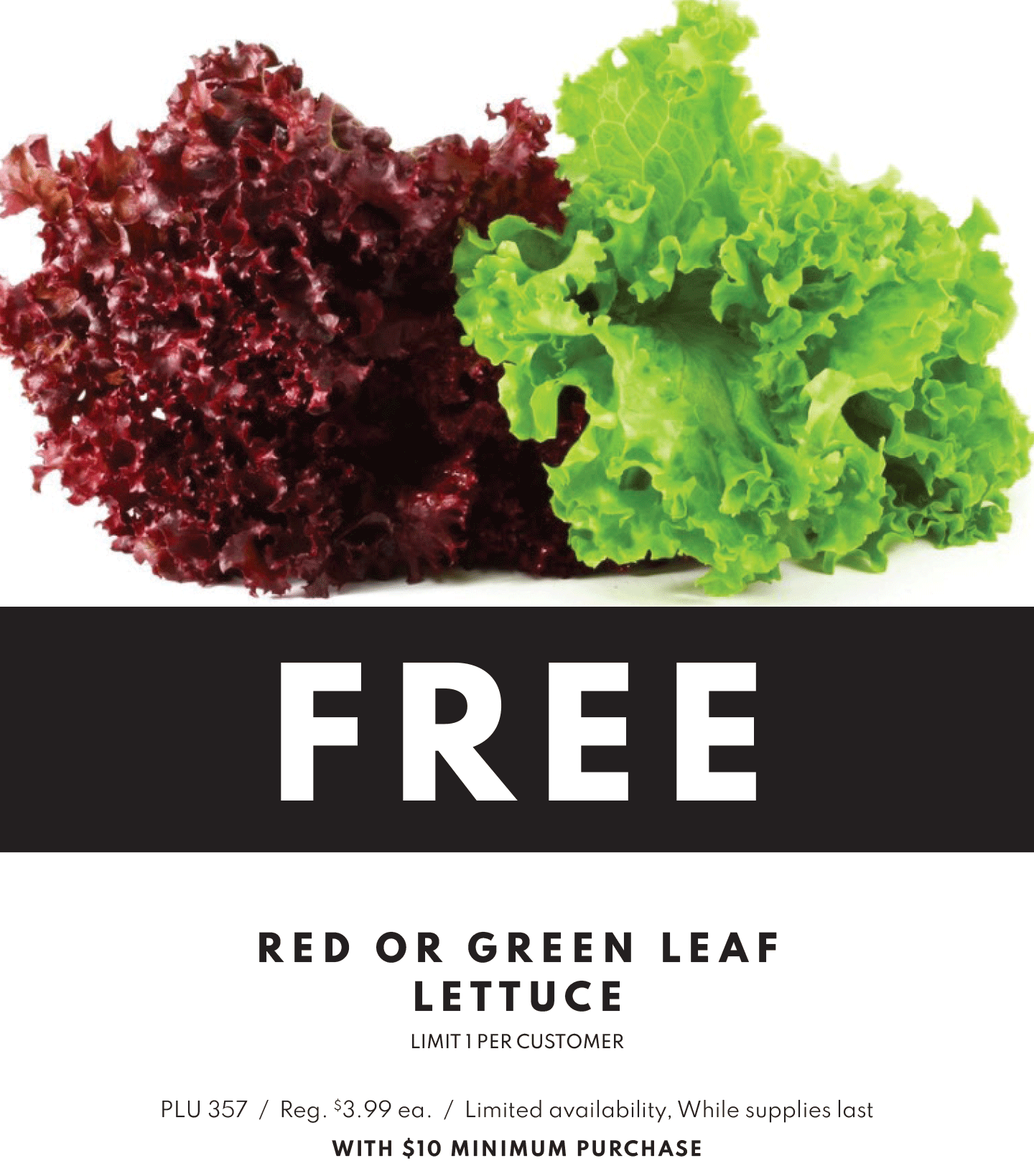 FREE Red or Green Leaf Lettuce, limit 1 per customer, with $10 minimum purchase, limited availability, while supplies last.