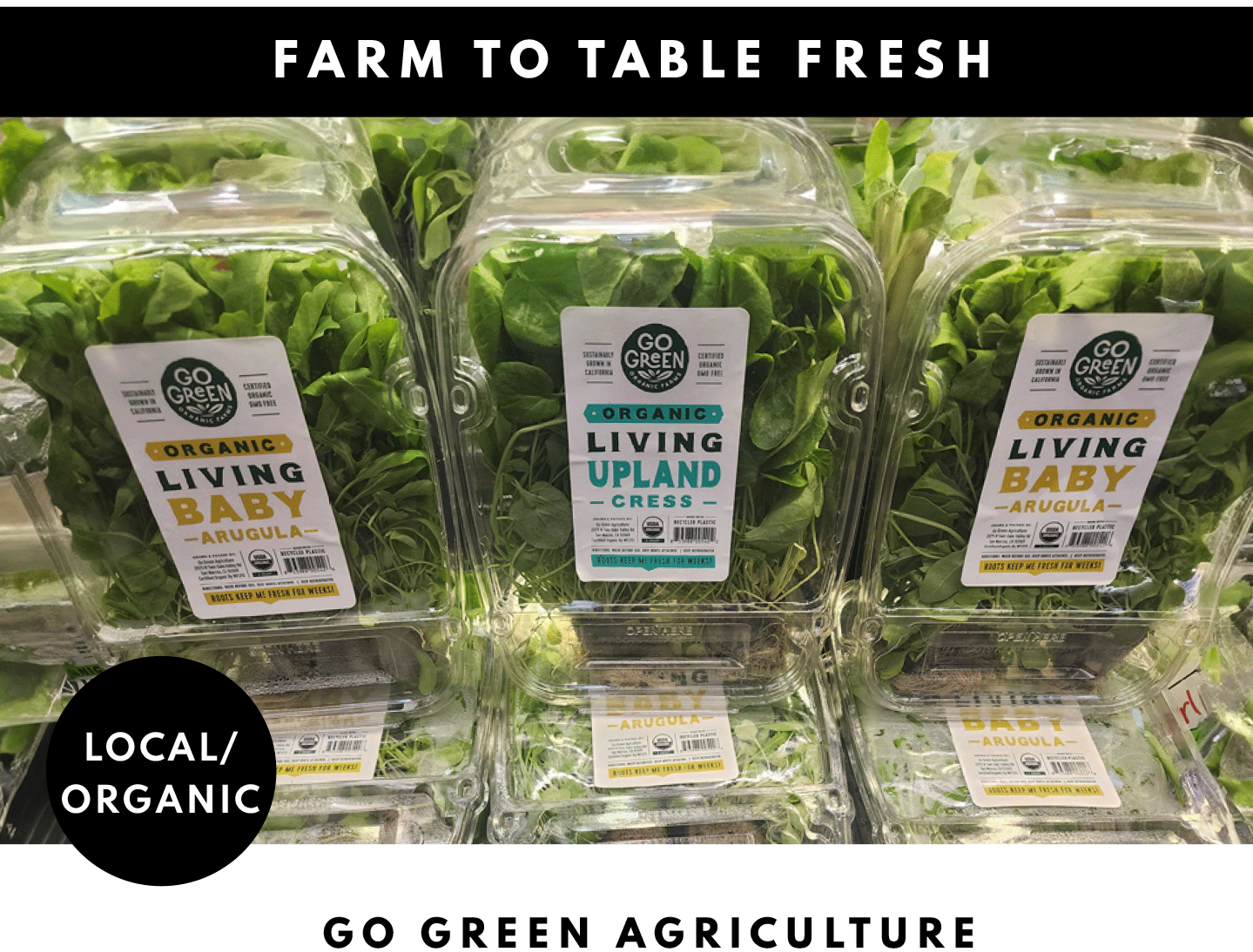 Go Green Agriculture, Living baby Arugula or Organic Living Baby Watercress 2 count package $4.99 ea, Red Cherries $14.99 ea, Blueberries 1 pint package $3.99 ea and Mini Watermelon 2/$6 ea