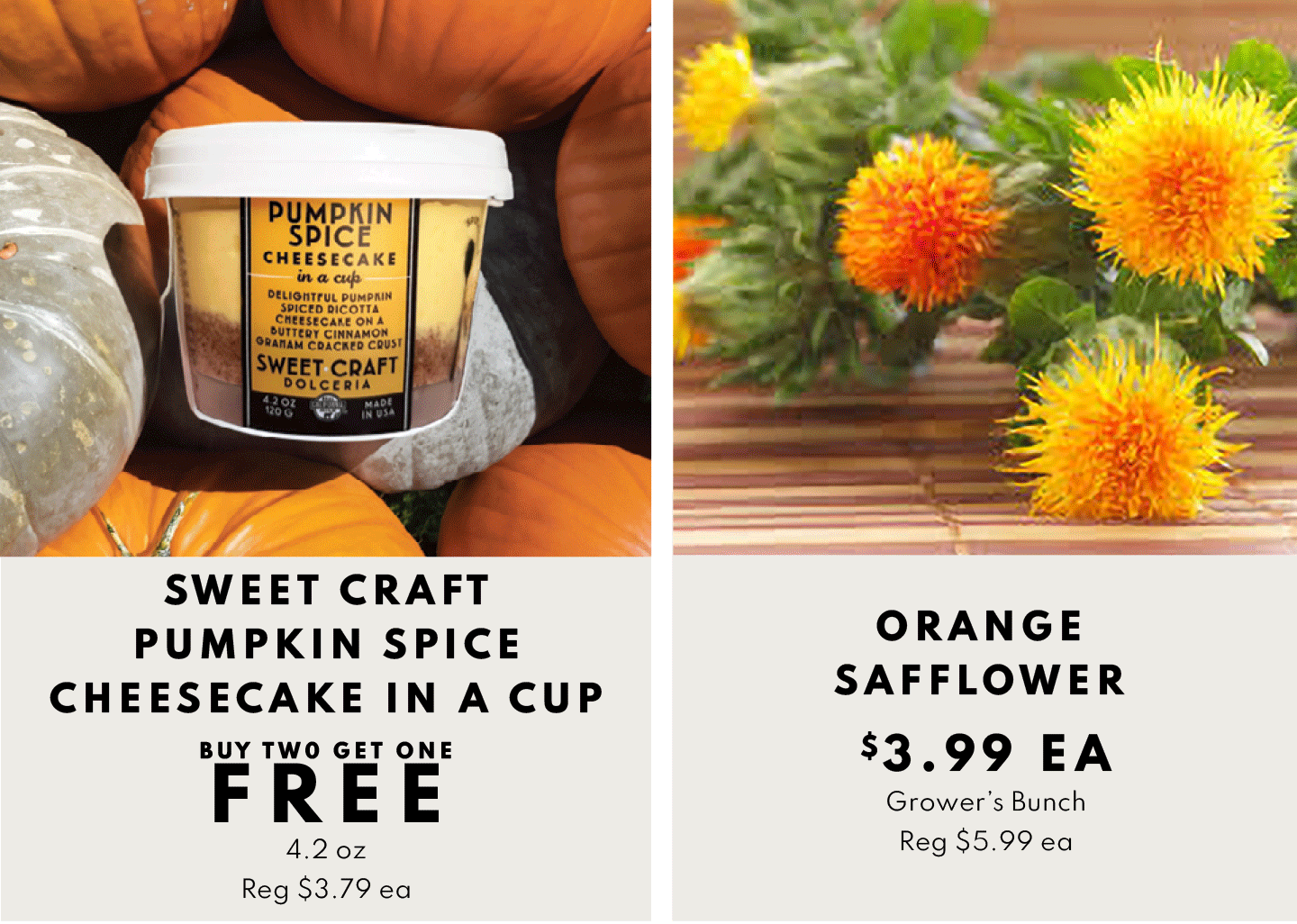 SWEET CRAFT PUMPKIN SPICE CHEESECAKE IN A CUP! BUY TWO GET ONE FREE, $3.99 EA ORANGE SAFFLOWER