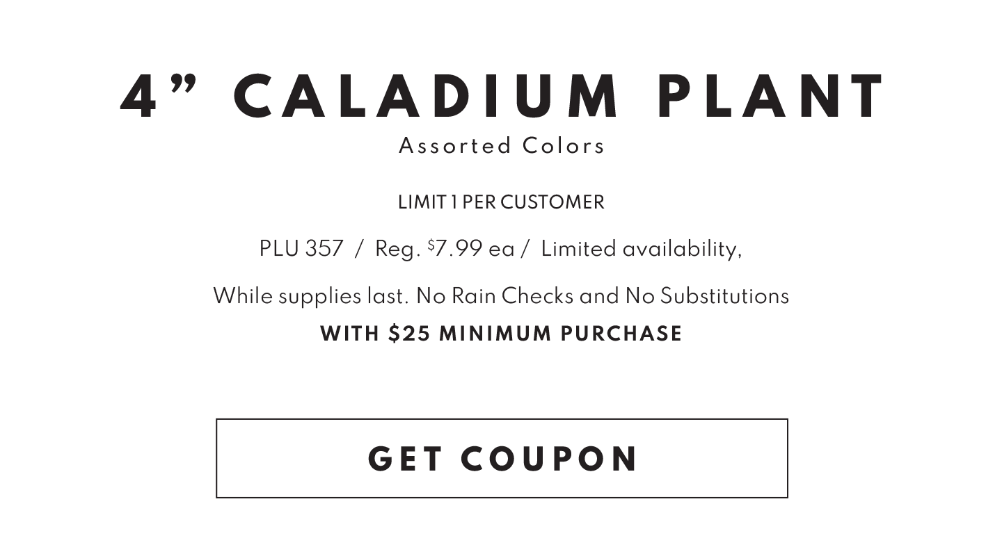 FREE CALADIUM PLANT with $25 mininmum purchase!