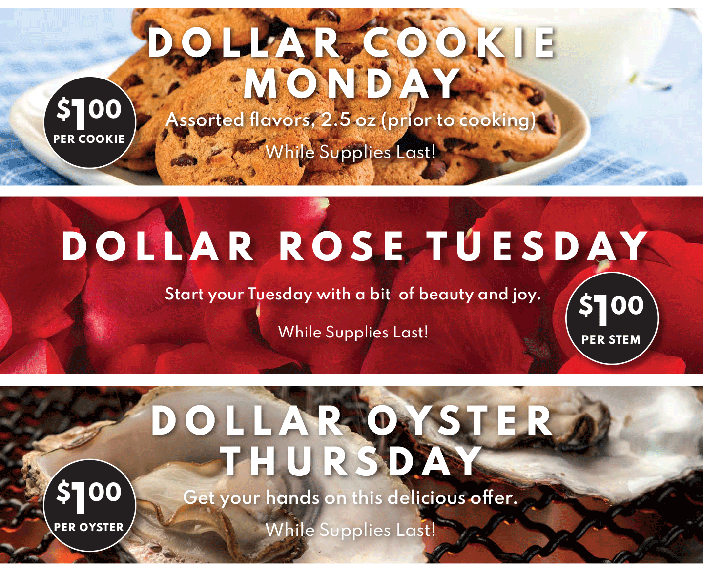 $1 dolalr rose tuesday